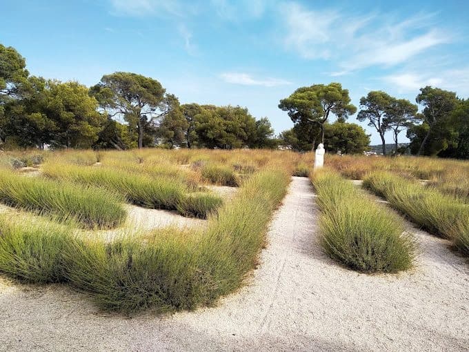 Lavendel-Labyrinth